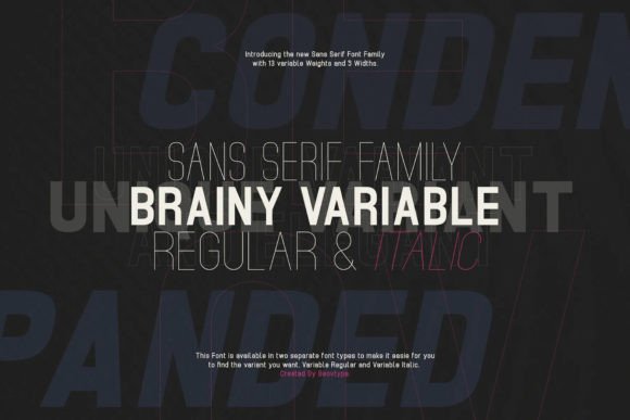 Brainy Variable: The Sans Serif Font That Clarifies Your Campaigns