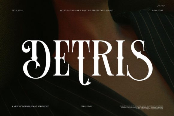 Detris Serif Font for Web Design Projects