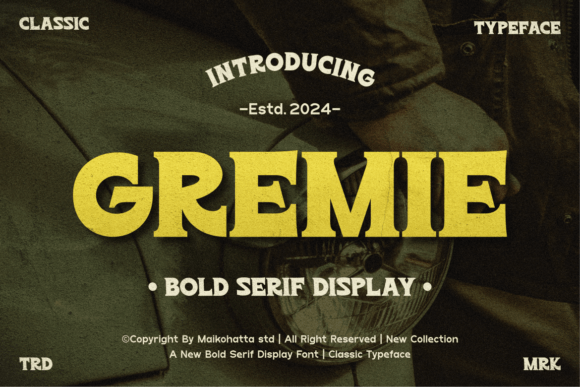 Gremie: A Bold Serif Font for Modern Branding