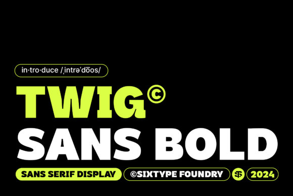 Twig Sans Bold for Editorial Design